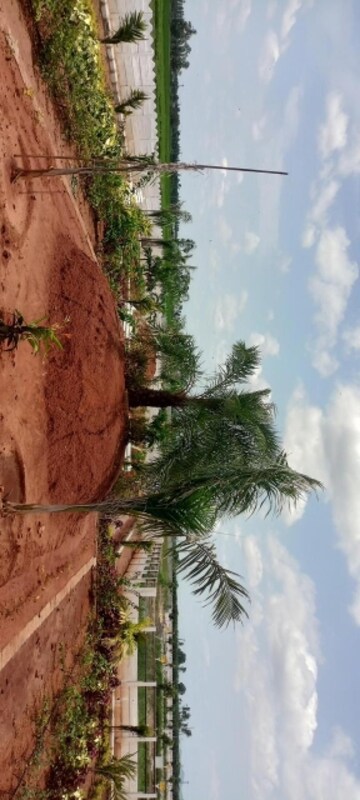  Plot – Garden View at Sri Bhumi Eeshaanya, Kankipadu - for Sale