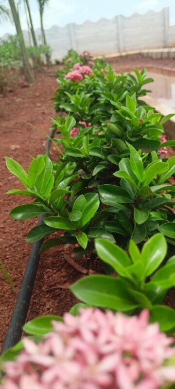  Plot – Garden View at Sri Bhumi Eeshaanya, Kankipadu - for Sale