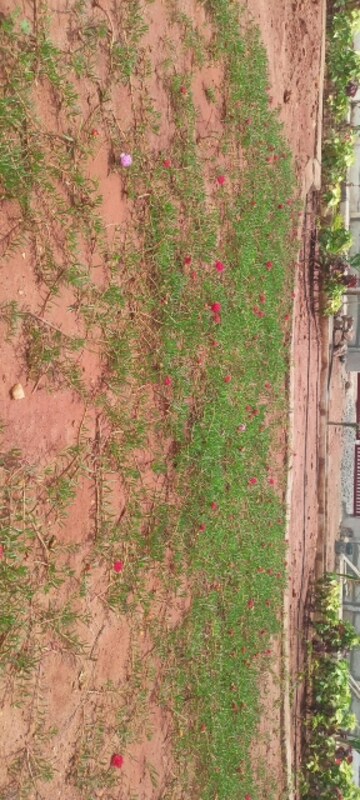  Plot – Garden View at Sri Bhumi Eeshaanya, Kankipadu - for Sale