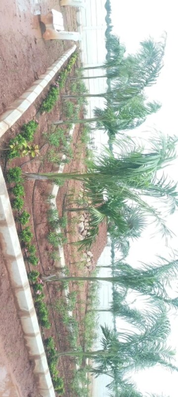  Plot – Garden View at Sri Bhumi Eeshaanya, Kankipadu - for Sale