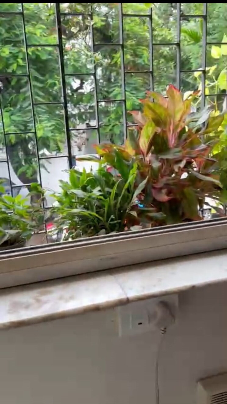 Balcony, kuvar-house 2 Bedroom 800 Sq.Ft. Apartment In Colaba Mumbai 7384683