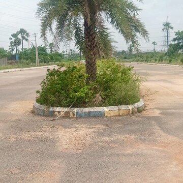 Plot Area in  Plot at Narepally – for Sale