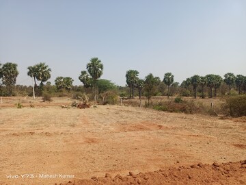 Plot Area in  Plot at Bongloor – for Sale