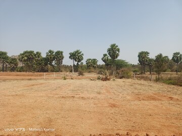Plot Area in  Plot at Bongloor – for Sale