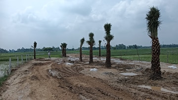 Plot For Resale in Hazratganj Lucknow  7385945