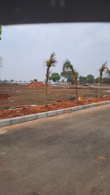 Plot Area in  Plot at Peddapur – for Sale