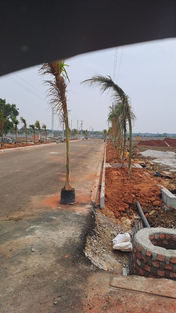  Plot – Nearby View at Peddapur - for Sale