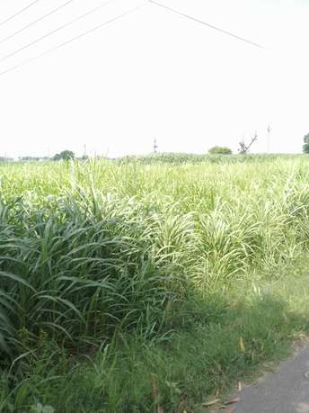 Commercial Land 3 Acre For Resale in LudhianA-Chandigarh Hwy Mohali  7386952