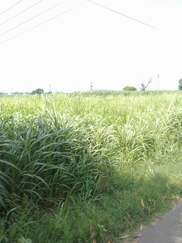  Land For Sale in LudhianA-Chandigarh Hwy