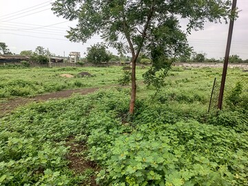  Plot – Exterior View View at Borkhedi - for Sale