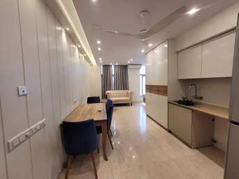 Studio Apartment For Rent in Hiranandani Solitaire Studio Apartment Ghodbunder Road Thane  7387088