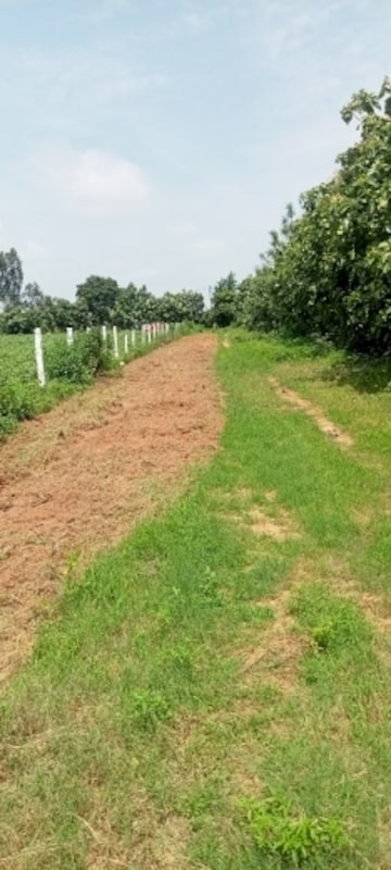 Commercial Land 1 Acre For Resale in Pragnapur Hyderabad  7387172