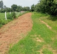 Land For Sale in Springfield Gajwel Crown, Pragnapur