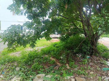 Plot Area in  Plot at Banashankari 6th Stage – for Sale