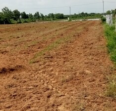 Land For Sale in Go Green Grand, Mytri Vanam