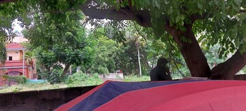  Plot – Garden View at Jp Nagar Phase 7 - for Sale