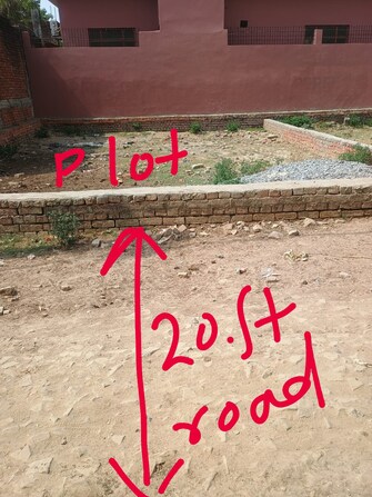 Plot For Resale in Paharia Varanasi  7387738