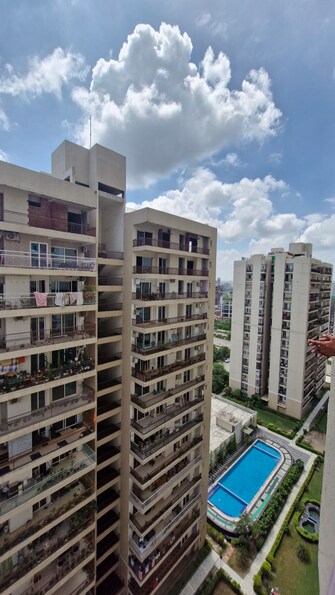 3 BHK Apartment For Resale in Akriti Shantiniketan Sector 140 Noida  7387759