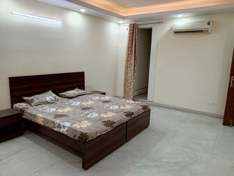 5 BHK Builder Floor For Rent in Ardee City Sector 52 Gurgaon  7387917