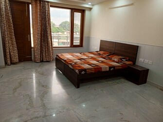 5 BHK Builder Floor For Rent in Ardee City Sector 52 Gurgaon  7387917