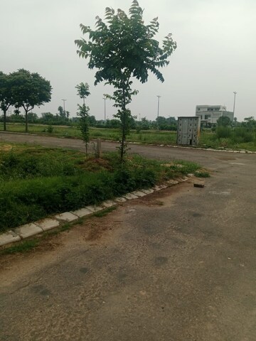  Plot For Sale in Altus Prime, North Mullanpur