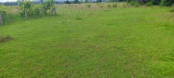 Plot For Resale in Lakshminarasimha Puram Vizianagaram  7389223