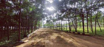 Plot Area in  Plot at Shankarpalli – for Sale