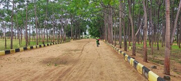 Plot Area in  Plot at Shankarpalli – for Sale