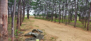 Plot Area in  Plot at Shankarpalli – for Sale