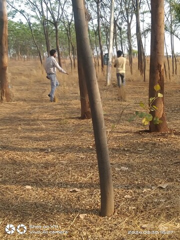 Plot Area in  Plot at Shankarpalli – for Sale
