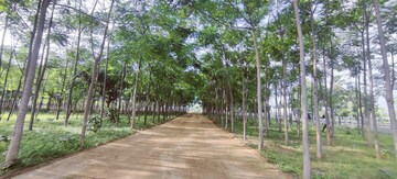 Plot Area in  Plot at Shankarpalli – for Sale