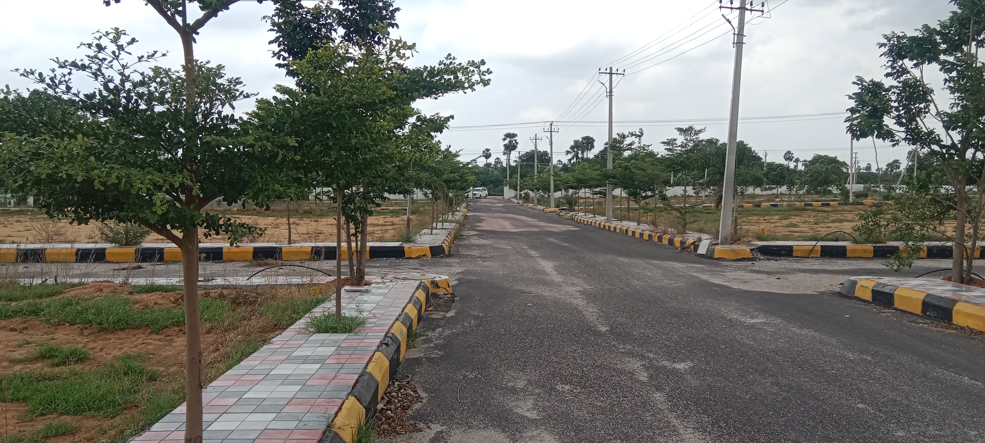 Plot For Resale in Mallapur Hyderabad  7390125