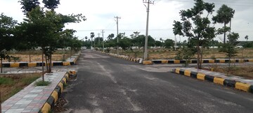 Plot For Resale in Buddha Nagar Hyderabad  7390131