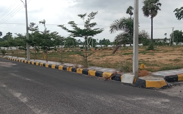 Plot For Sale in Yapral