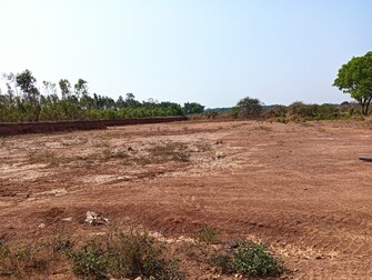 Commercial Land 1 Acre For Resale in Dobbaspet Bangalore  7390419