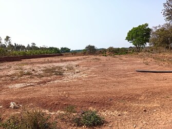 Commercial Land 1 Acre For Resale in Dobbaspet Bangalore  7390419