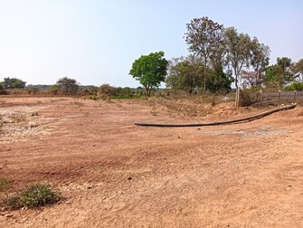 Commercial Land 1 Acre For Resale in Dobbaspet Bangalore  7390419