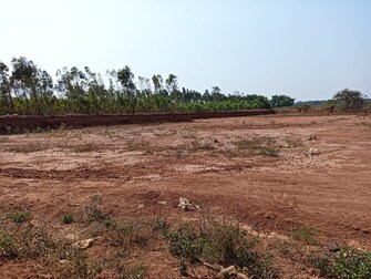 Commercial Land 1 Acre For Resale in Dobbaspet Bangalore  7390419