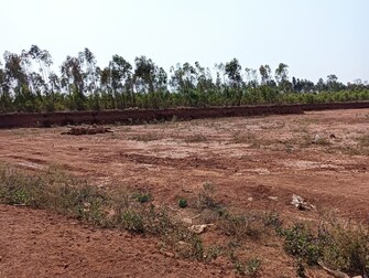 Commercial Land 1 Acre For Resale in Dobbaspet Bangalore  7390419