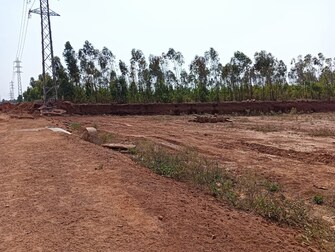 Commercial Land 1 Acre For Resale in Dobbaspet Bangalore  7390419