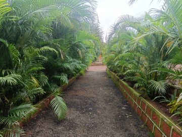  Plot – Garden View at Dahivali - for Sale