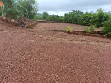 Plot For Resale in Mahad Raigad  7390759