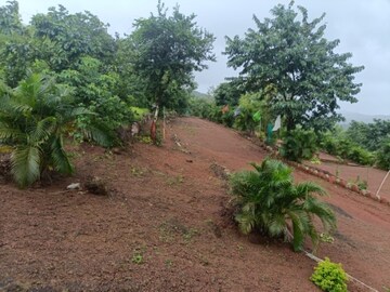  Plot – Exterior View View at Alibag - for Sale