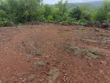 Plot For Resale in Shrivardhan Raigad  7390932