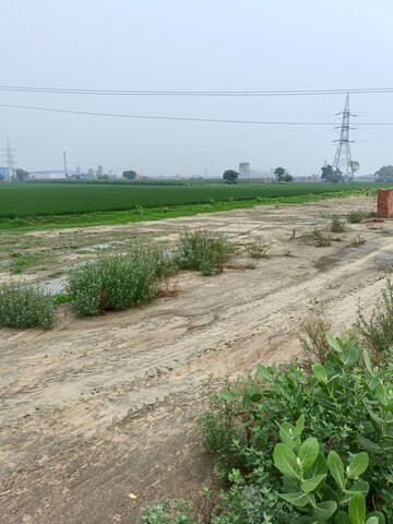  Land For Sale in Bapauli 
