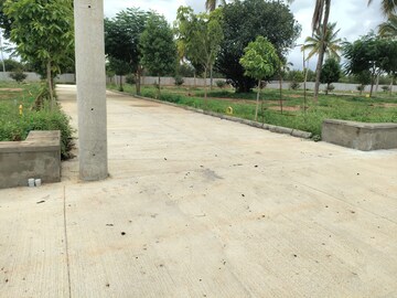Plot Area in  Plot at Bagaluru  – for Sale