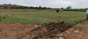 Plot Area in  Plot at Robertsganj Road – for Sale