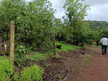  Plot – Exterior View View at Alibag - for Sale