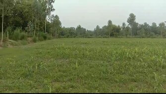 Commercial Land 16 Acre For Resale in Avas Vikas Colony Khatauli  7392343