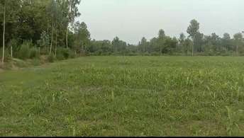 Commercial Land 16 Acre For Resale in Avas Vikas Colony Khatauli  7392343